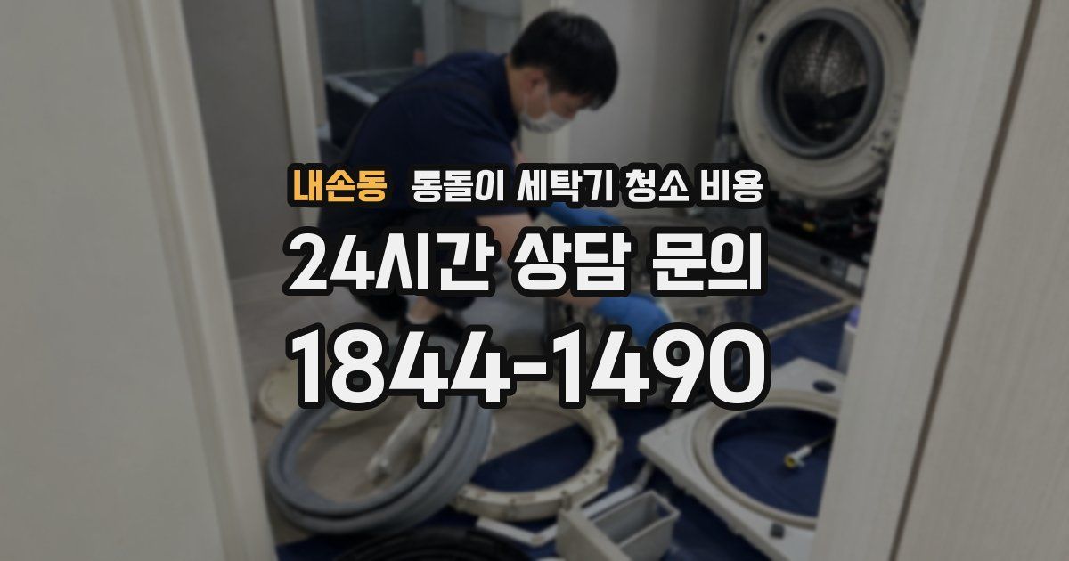 내손동 통돌이 세탁기 청소 비용