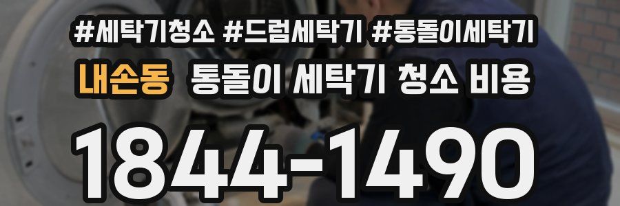 내손동 통돌이 세탁기 청소 비용
