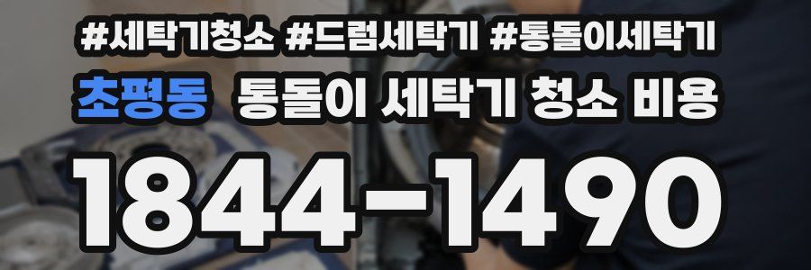 초평동 통돌이 세탁기 청소 비용