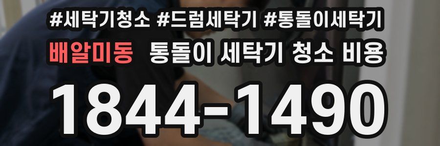 배알미동 통돌이 세탁기 청소 비용