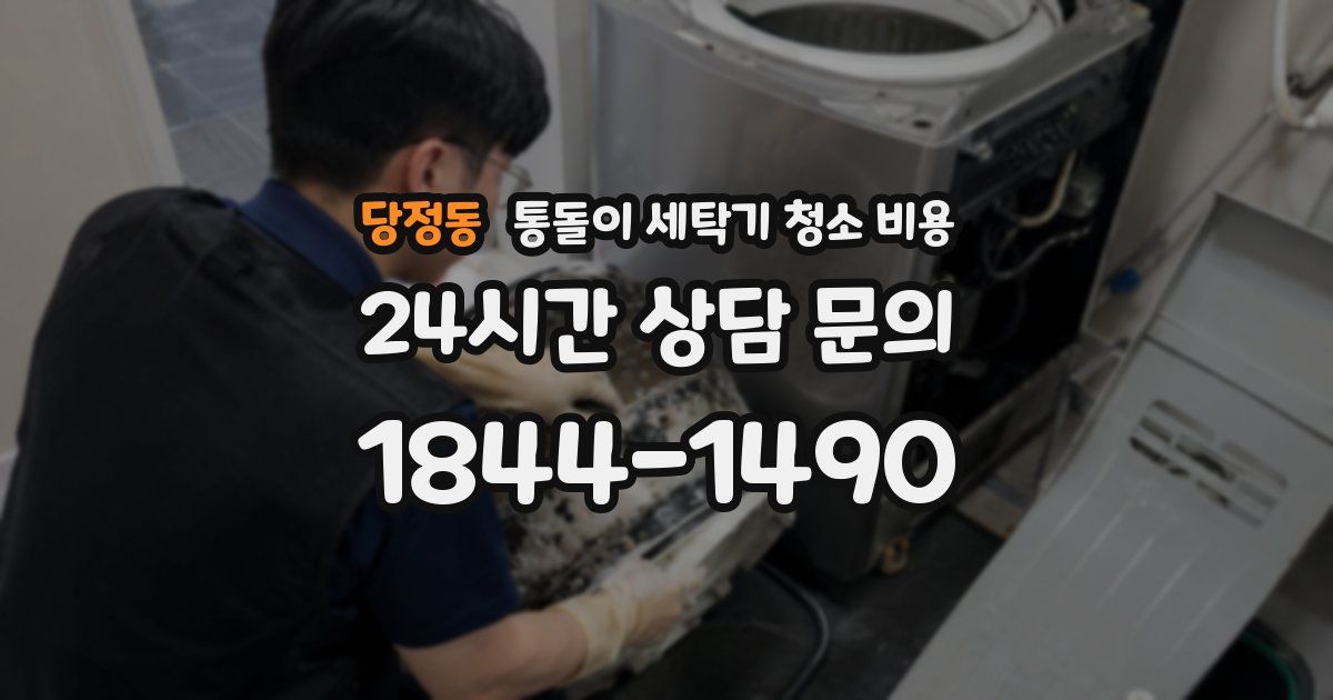 당정동 통돌이 세탁기 청소 비용