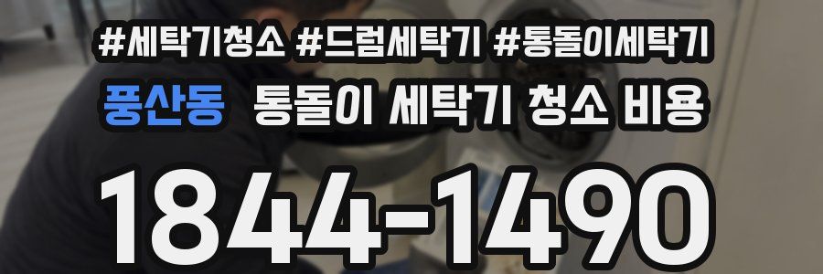 풍산동 통돌이 세탁기 청소 비용