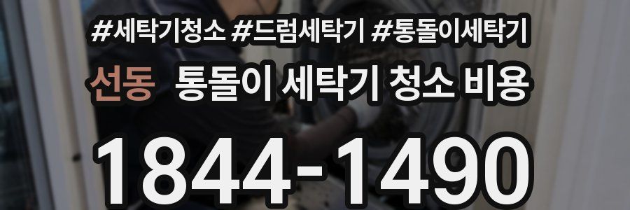 선동 통돌이 세탁기 청소 비용