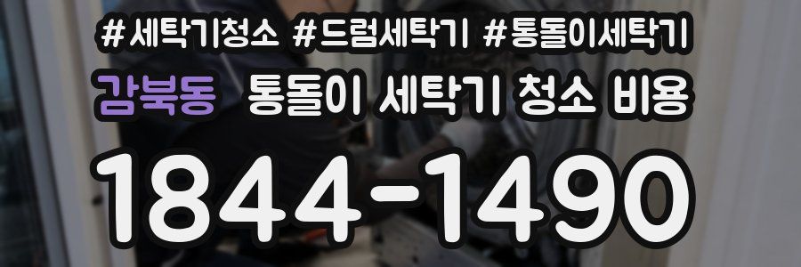 감북동 통돌이 세탁기 청소 비용