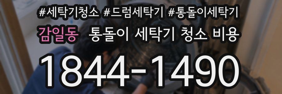 감일동 통돌이 세탁기 청소 비용