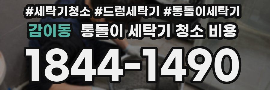 감이동 통돌이 세탁기 청소 비용