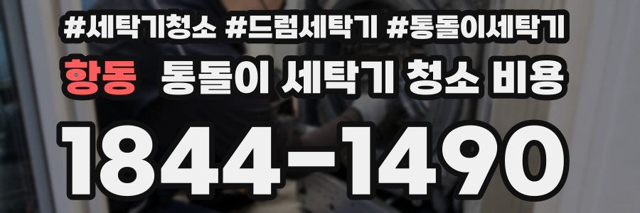 항동 통돌이 세탁기 청소 비용
