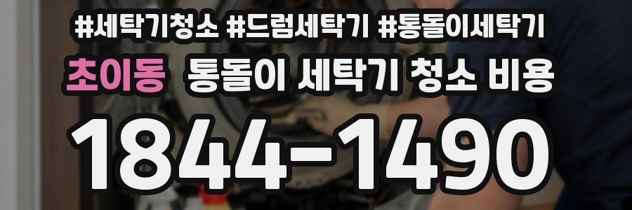 초이동 통돌이 세탁기 청소 비용