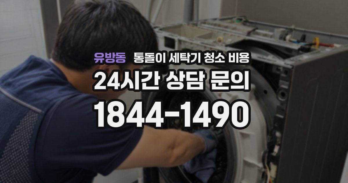유방동 통돌이 세탁기 청소 비용