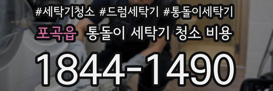포곡읍 통돌이 세탁기 청소 비용