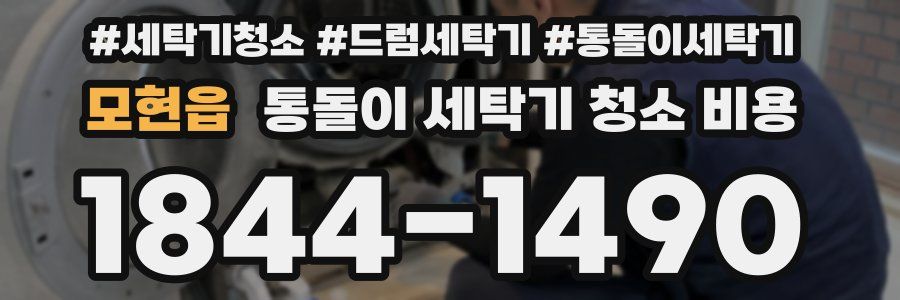 모현읍 통돌이 세탁기 청소 비용