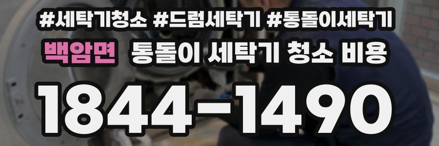 백암면 통돌이 세탁기 청소 비용