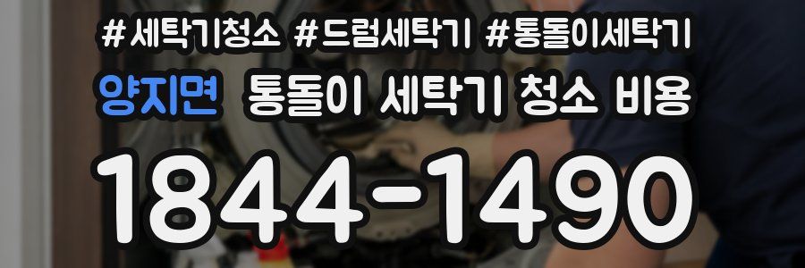 양지면 통돌이 세탁기 청소 비용