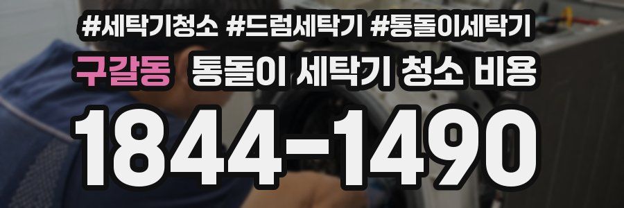 구갈동 통돌이 세탁기 청소 비용