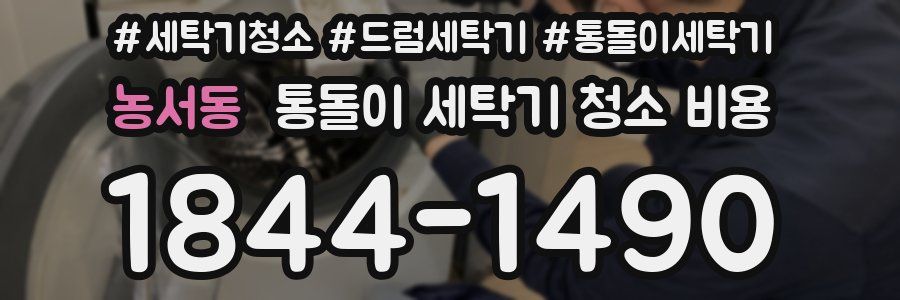 농서동 통돌이 세탁기 청소 비용