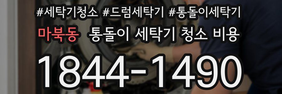 마북동 통돌이 세탁기 청소 비용