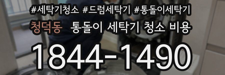 청덕동 통돌이 세탁기 청소 비용