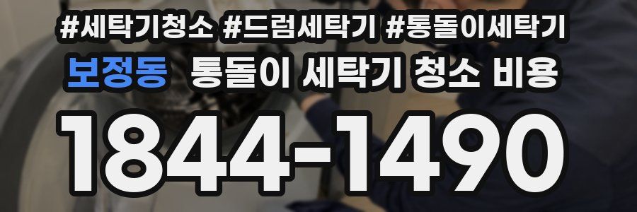 보정동 통돌이 세탁기 청소 비용