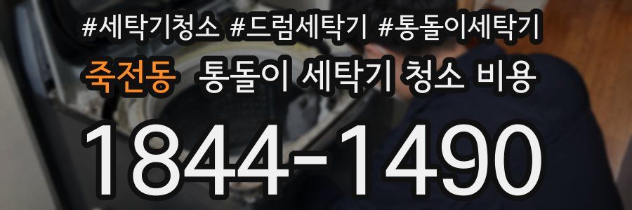 죽전동 통돌이 세탁기 청소 비용