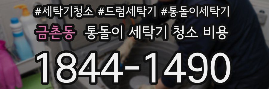 금촌동 통돌이 세탁기 청소 비용