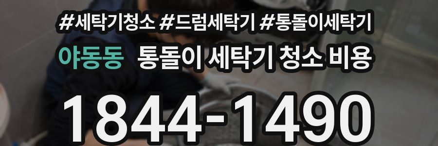 야동동 통돌이 세탁기 청소 비용