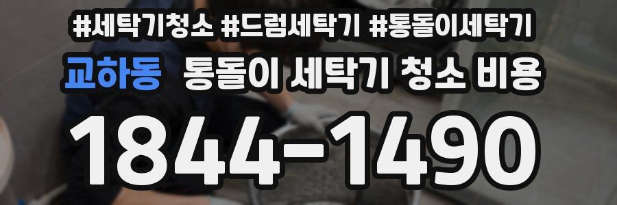 교하동 통돌이 세탁기 청소 비용