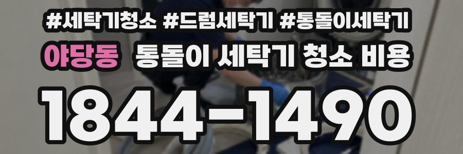 야당동 통돌이 세탁기 청소 비용