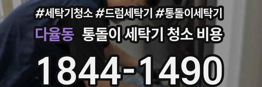 다율동 통돌이 세탁기 청소 비용