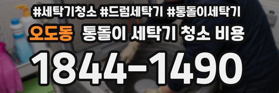 오도동 통돌이 세탁기 청소 비용