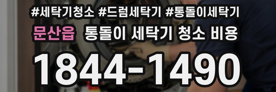 문산읍 통돌이 세탁기 청소 비용