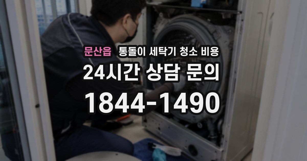 문산읍 통돌이 세탁기 청소 비용