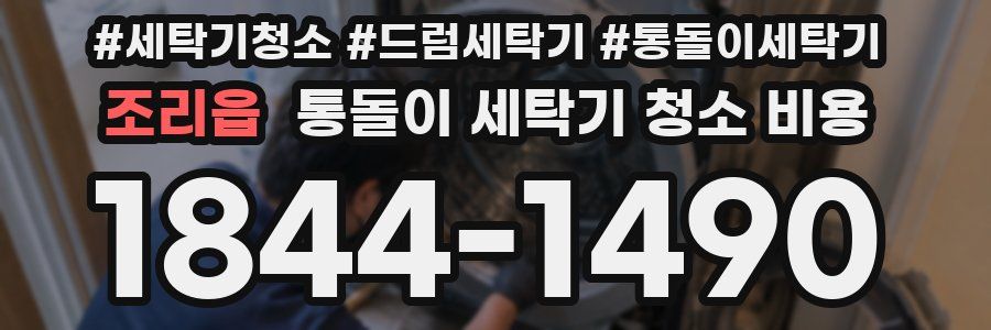 조리읍 통돌이 세탁기 청소 비용