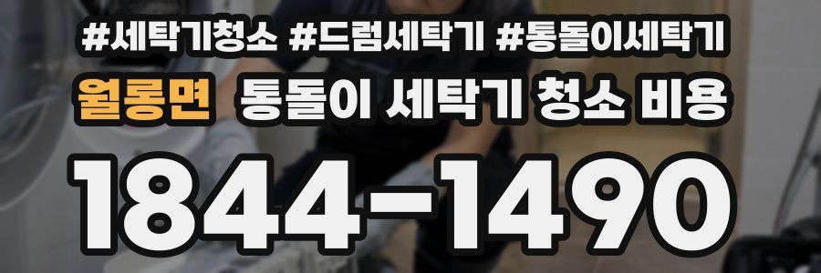 월롱면 통돌이 세탁기 청소 비용