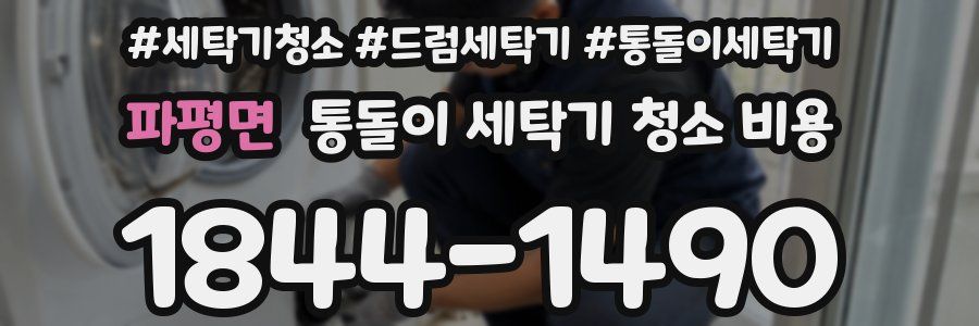 파평면 통돌이 세탁기 청소 비용
