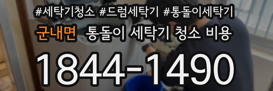 군내면 통돌이 세탁기 청소 비용