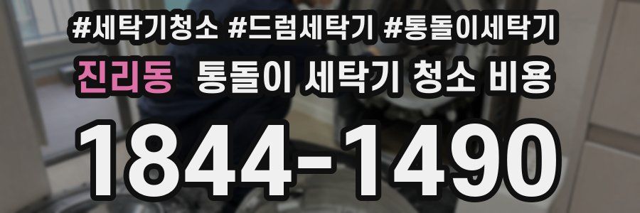 진리동 통돌이 세탁기 청소 비용