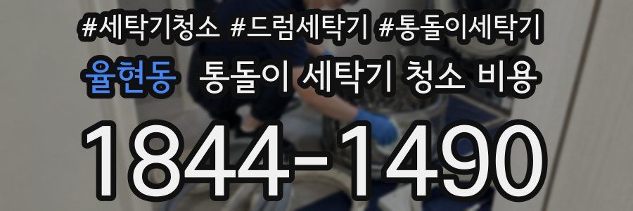 율현동 통돌이 세탁기 청소 비용