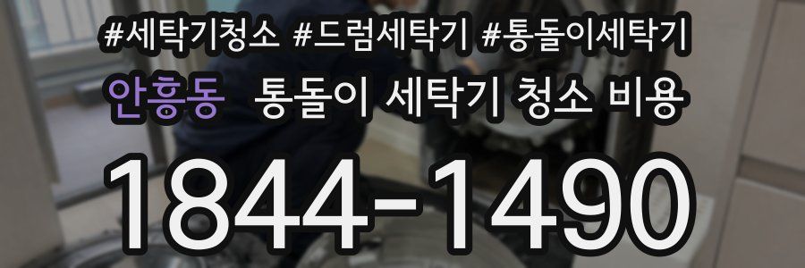 안흥동 통돌이 세탁기 청소 비용