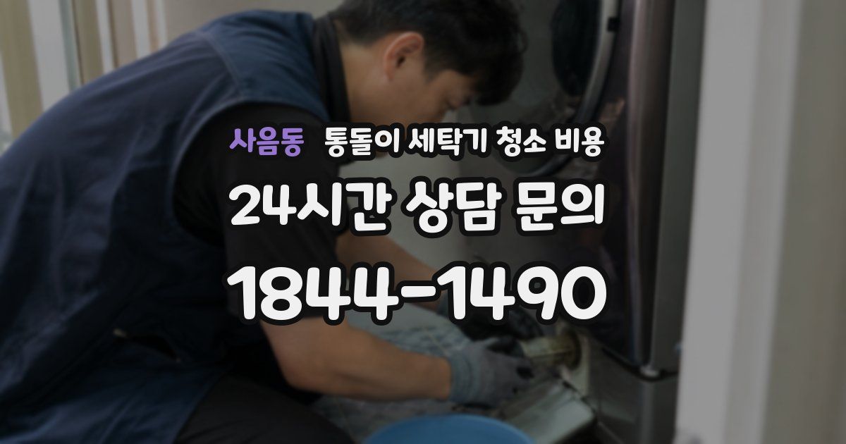 사음동 통돌이 세탁기 청소 비용