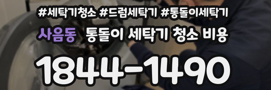사음동 통돌이 세탁기 청소 비용