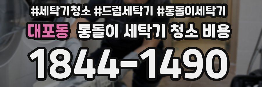 대포동 통돌이 세탁기 청소 비용