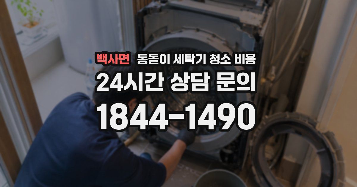 백사면 통돌이 세탁기 청소 비용