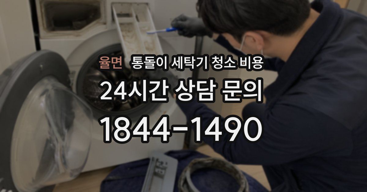 율면 통돌이 세탁기 청소 비용