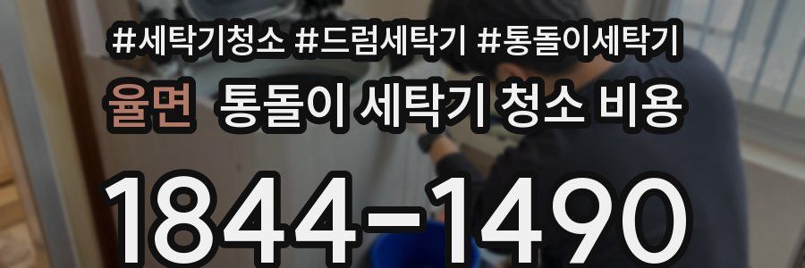 율면 통돌이 세탁기 청소 비용