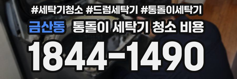 금산동 통돌이 세탁기 청소 비용
