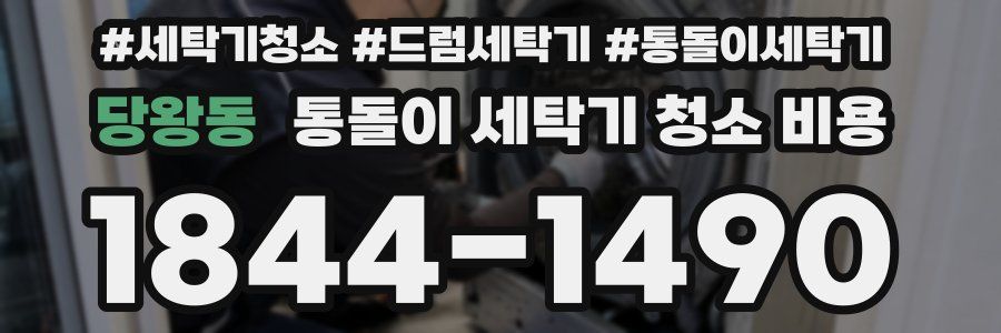 당왕동 통돌이 세탁기 청소 비용