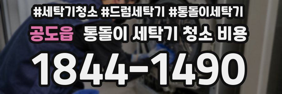 공도읍 통돌이 세탁기 청소 비용