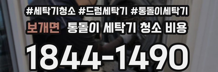 보개면 통돌이 세탁기 청소 비용