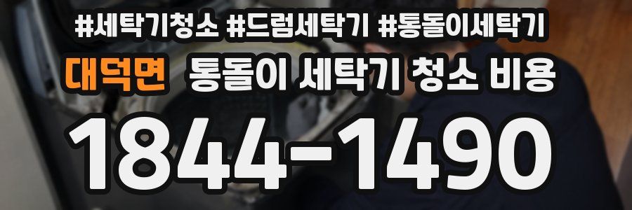대덕면 통돌이 세탁기 청소 비용