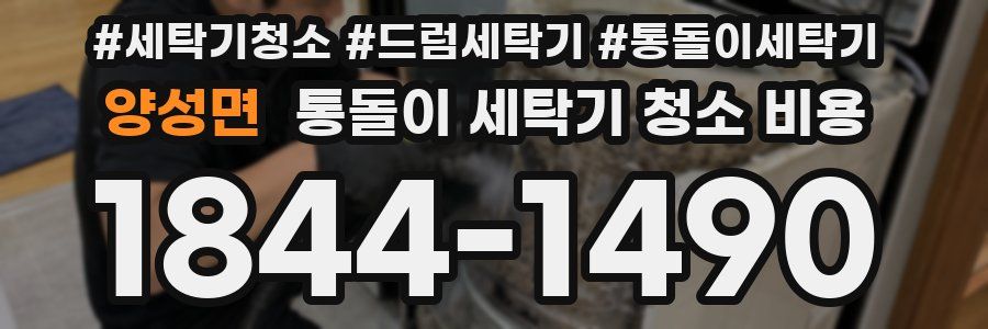 양성면 통돌이 세탁기 청소 비용
